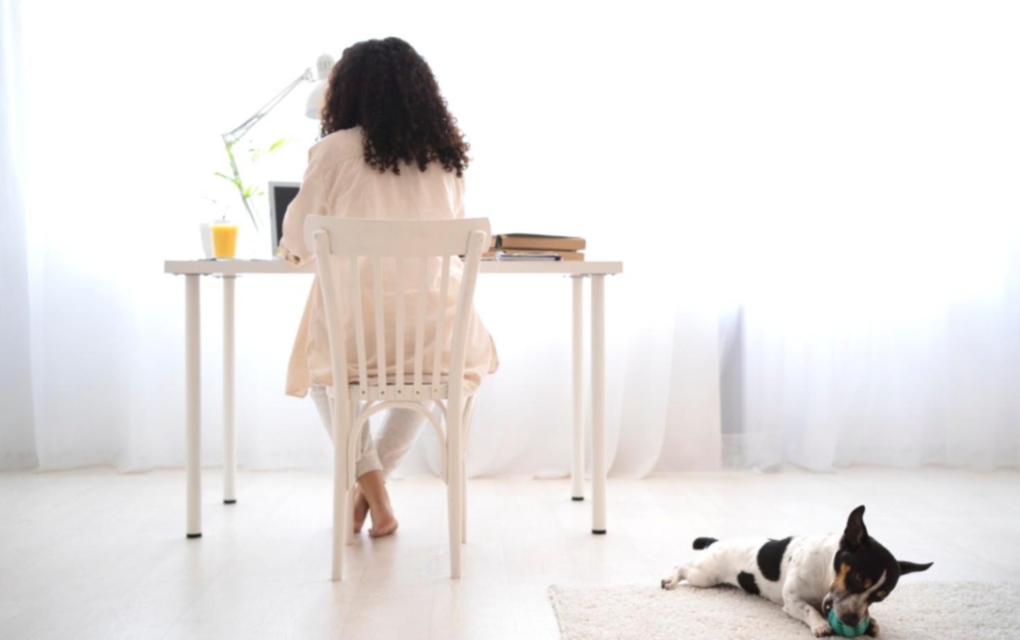 Sesión educativa personalizada sobre gestión de presupuestos